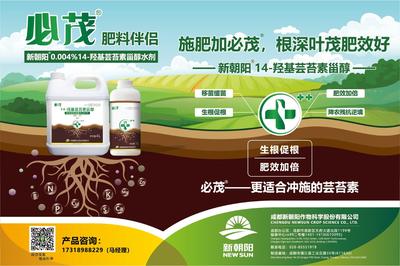 福华:开放合作互惠共赢,拓展国际商业版图