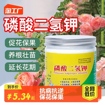 当前网购流行产品