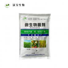 鹤壁生物肥料品牌大全