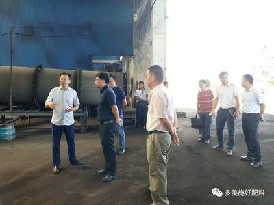 广西崇左市陆辉副市长到广西公司调研指导