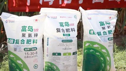干旱“袭”吴忠 玉米反增值||富岛 翔燕 中海化学 中国增值肥料的创造者